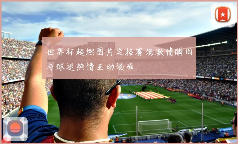 世界杯超燃图片定格赛场激情瞬间与球迷热情互动场面