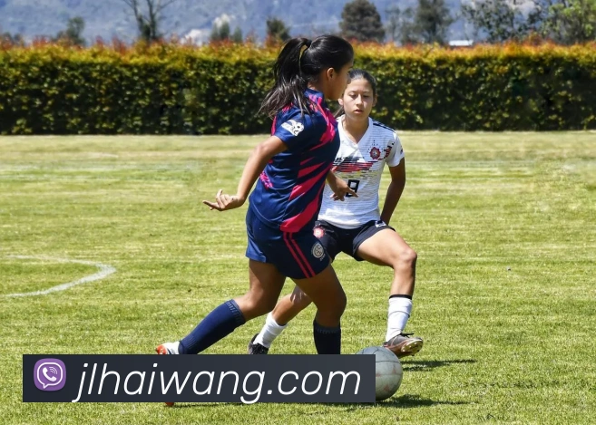 开云app官方入口网页版品牌故事